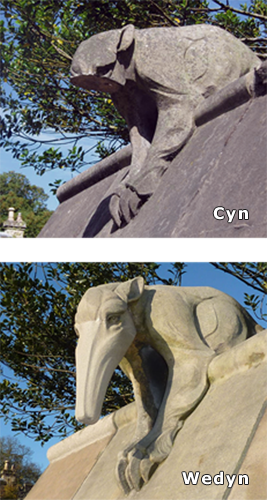 before and after photo of repair to anteater