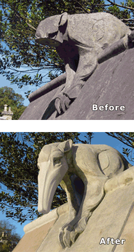 photo of anteater before and after restoration