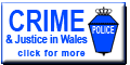 button-theme-crime