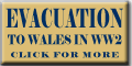 button-theme-evac