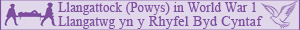 POWYS WAR MEMORIAL PROJECT  Tour Label