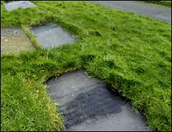 Grave of Abraham Mills