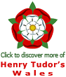 Tudor Rose logo with link to more information page