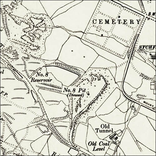 Extract from 1902 OS map showing Cardiff Pond