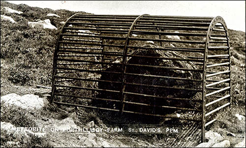 Old photo of picrite boulder near St Davids