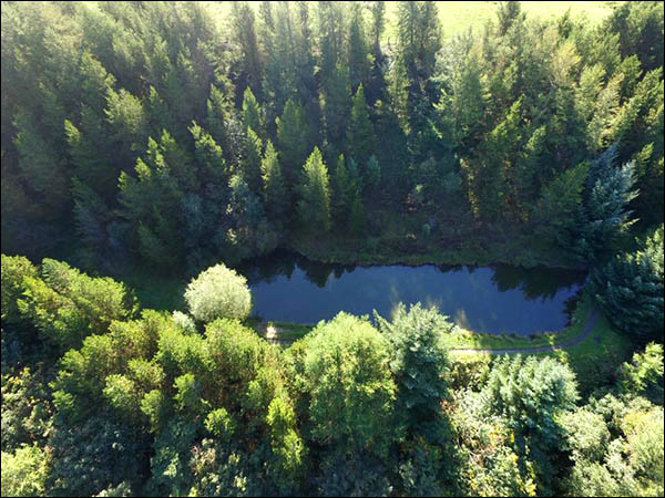 Aerial photo of Goldie Pond