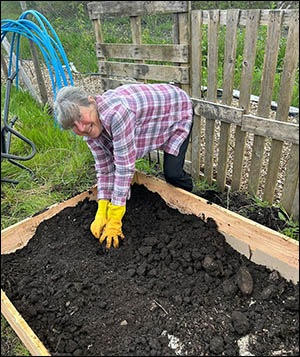 Photo of community garden at Sirhowy Hill Woodlands