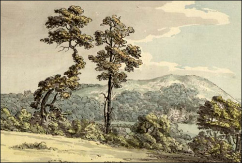 deganwy_marl_hall_woods