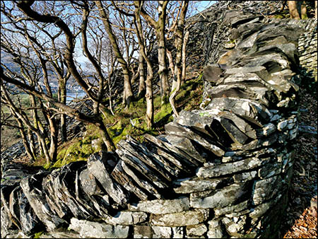 Photo of curved wall on the Llwybr Main
