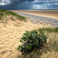 photo_of_gronant_dunes