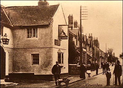 hawarden_fox_and_grapes