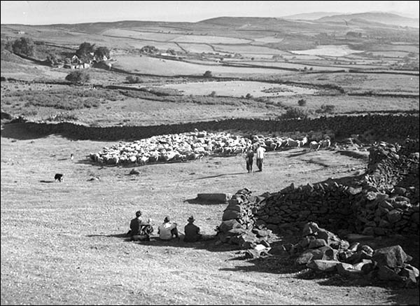 Old photo showing part of Buarth Llangelynnin sheepfold