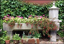 Photo of animal trough at Bodrhyddan